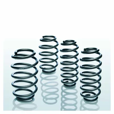 Eibach Pro-Kit BMW 5 (G60)